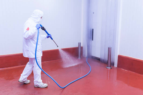 Best Soft Washing  in Brackenridge, PA